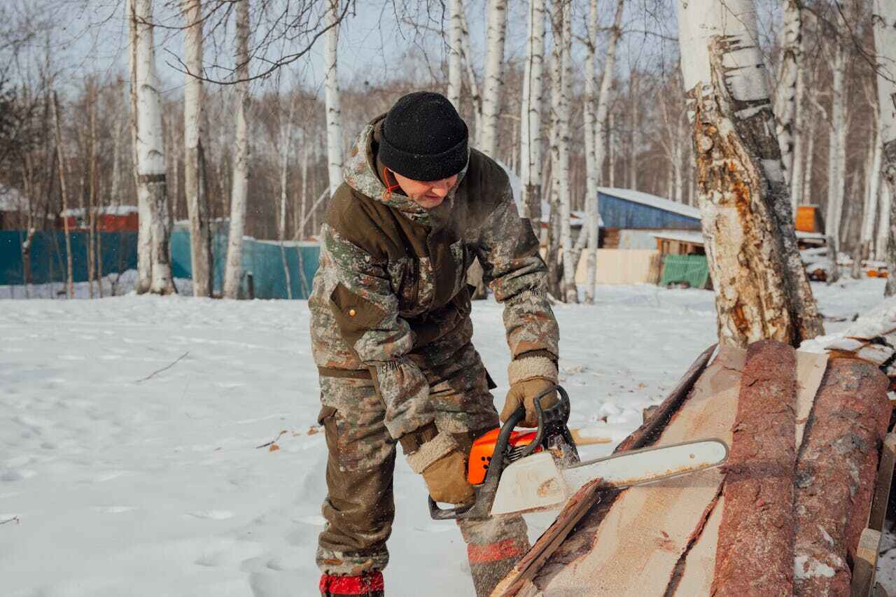 Dead Tree Removal in Algoma, WI